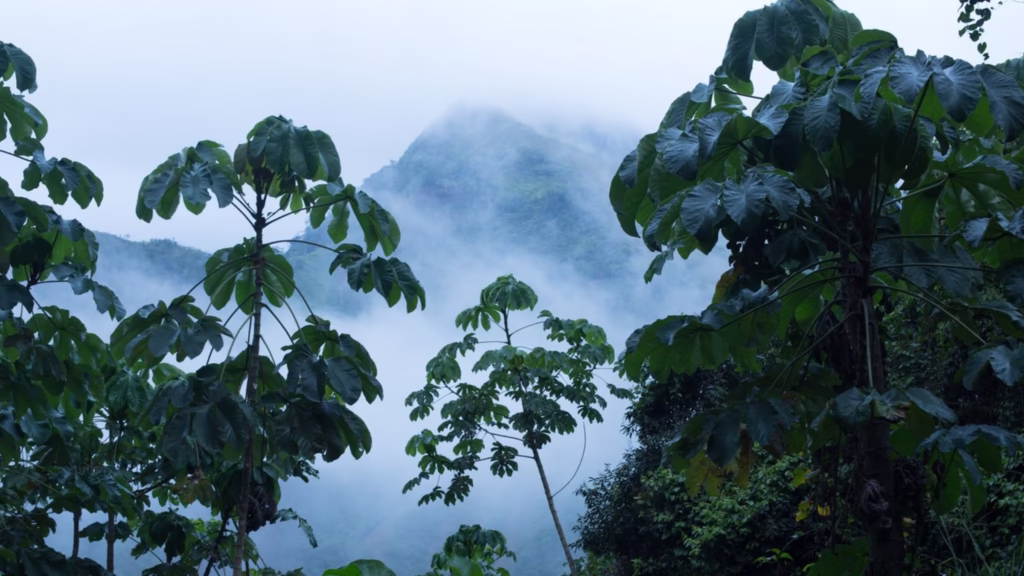 View of the Muzo region where the Muzo people lived.